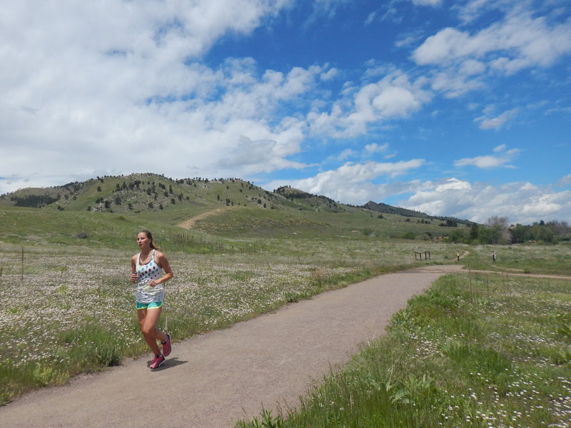 Running through fields of wildflowers on the Foothills South Trail