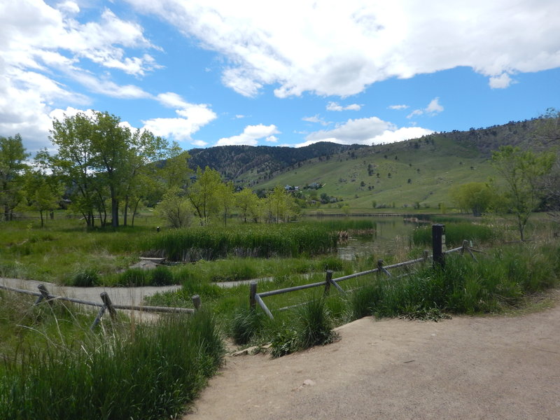 The wonderful wetlands of Wonderland Lake