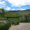 The wonderful wetlands of Wonderland Lake