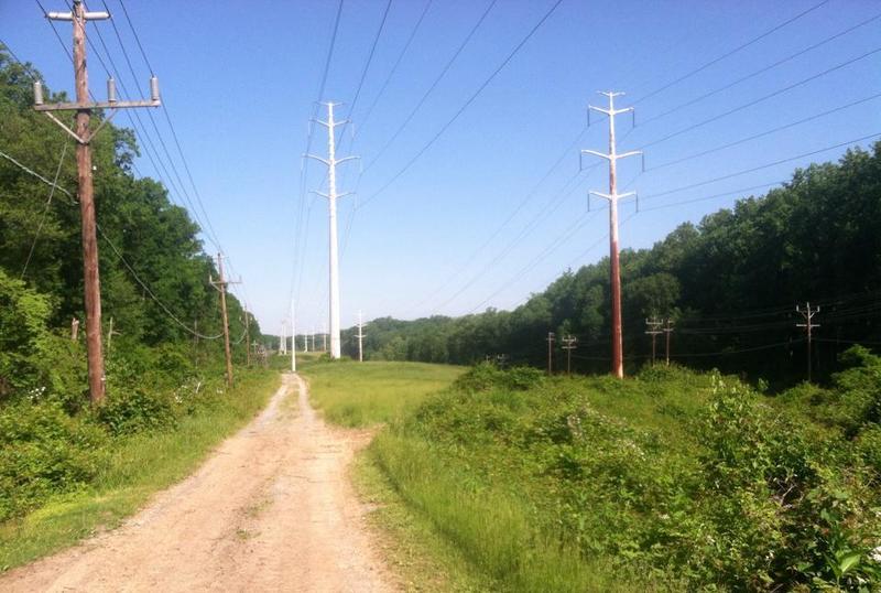 Power line crossing on the Cabin John Trail