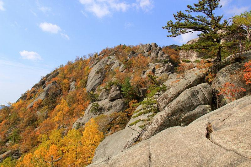 Old Rag rocks in Autumn.