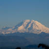 Mt. Rainier seen from Tiger Mountain