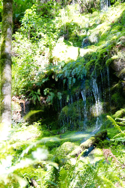 Chirico Trail: Waterfalls