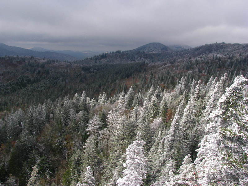 Snow-covered and wind-blown