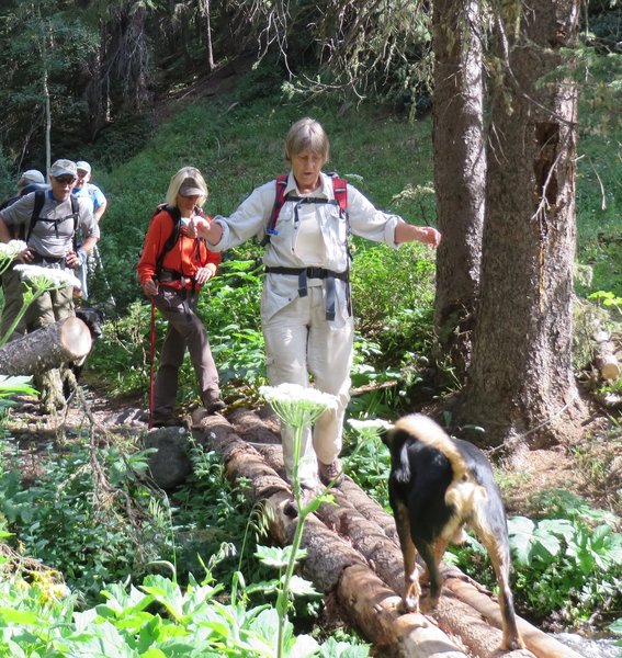 At the water crossings you need good balance and the ability to convince your dog to turn around.