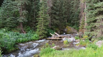 East Fork of Dallas Creek.