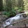 Wilson Creek tumbling down from Blaine Basin. The trail crosses this creek several times. Look for sturdy multiple log bridges