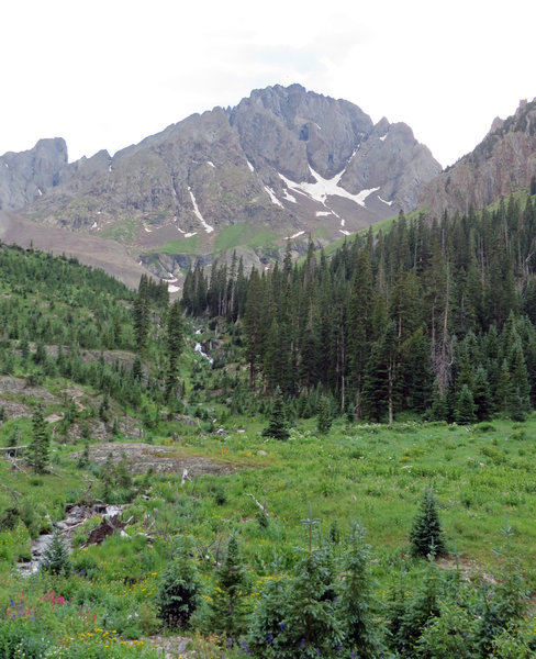 Blaine Basin carpeted with wildflowers and surrounded by high rocky mountains.