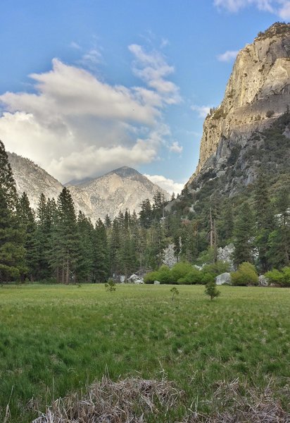 Looking across Zumwalt Meadow