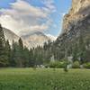 Looking across Zumwalt Meadow