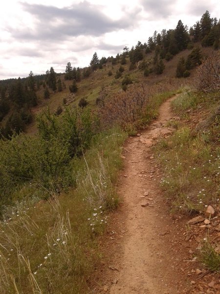 Hiker only trail - Golden Eagle Trail