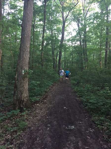 The start of the Bucca Family Trail off of the South Plateau Loop.  This is a great example of how flat and trip-hazard-free the trail is.