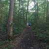 The start of the Bucca Family Trail off of the South Plateau Loop.  This is a great example of how flat and trip-hazard-free the trail is.