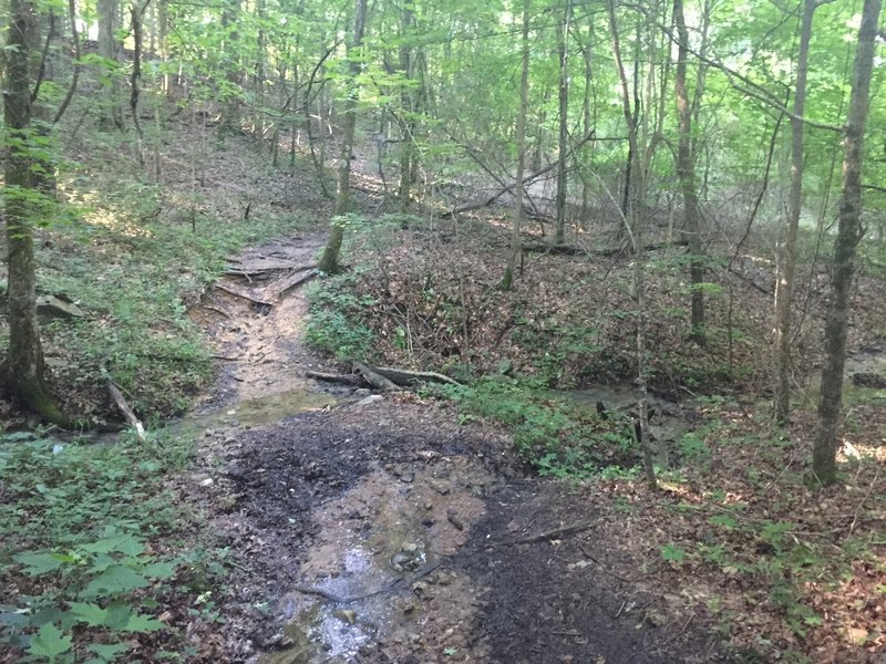 Creek crossing on Keith Trail.