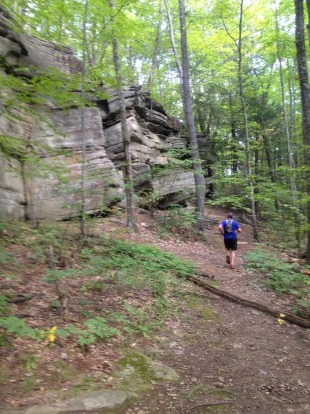 Running along the Rose Ledges