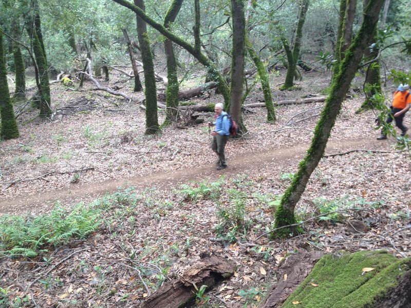 Sonoma Mountain Ridge Trail opens to the public, Spring, 2015.