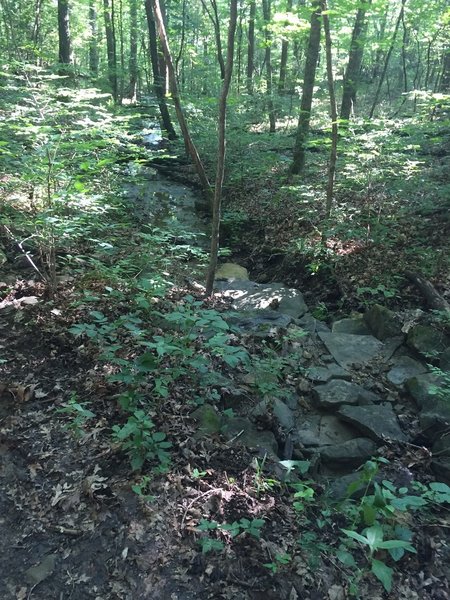 Creek crossing on the Logan Point Trail.