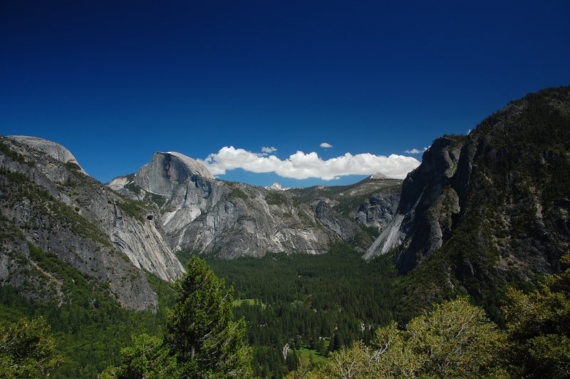 Half Dome and some greenery.