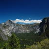 Half Dome and some greenery.