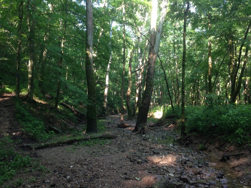 Creek crossing