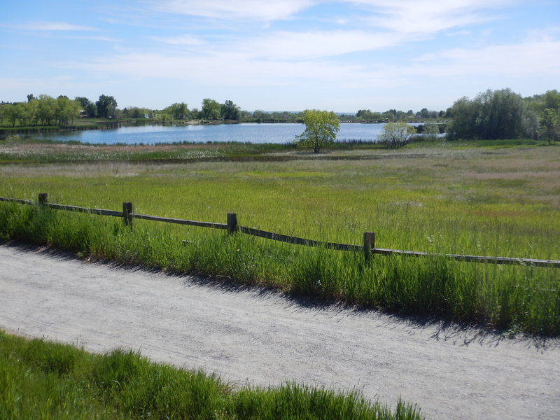 The marshy west side of Wonderland Lake