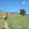 Descending the Wonderland Hill Glider Trail