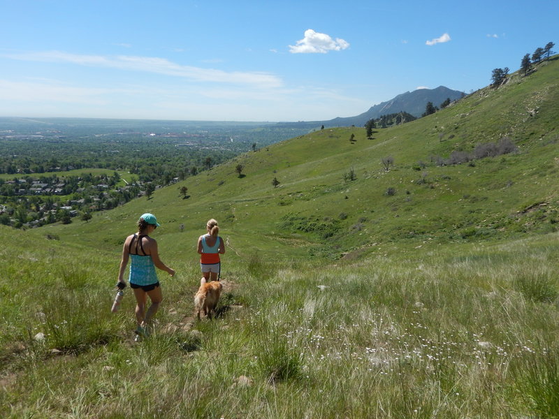 Looking south towards the Flatirons