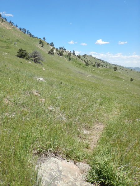 Typical views north along the foothills