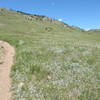 More established trail closer to the Foothills South Trail