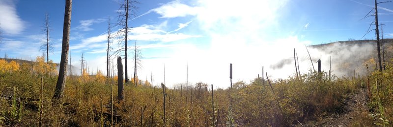 Scrub oak and aspen prepare for their winter nap as the late fall snow starts revving up.