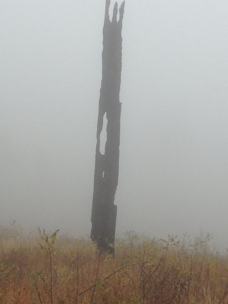 The haunting remains of the Los Conchas fire peers down like the dark tower of Mordor.