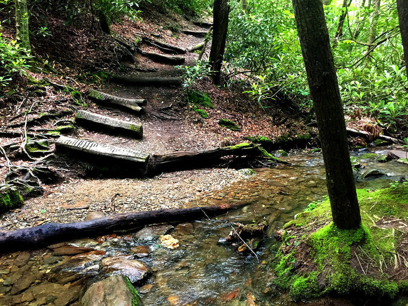 One of the many creek crossings along the Green Knob Trail.