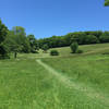 Out of the creek bed and into the pasture.