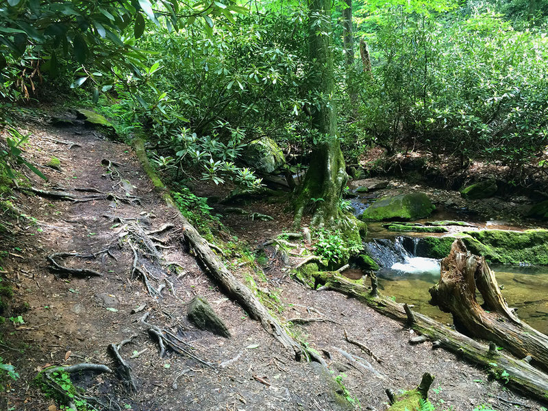 Climbing the creek bed.