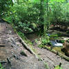 Climbing the creek bed.