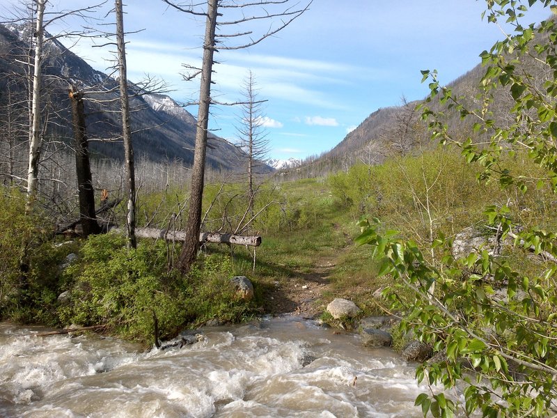 This crossing is tough when you are hiking at high water, as my dad and I did last week. If you don't want to get wet, though, you can walk across tree trunks that have fallen across the river.