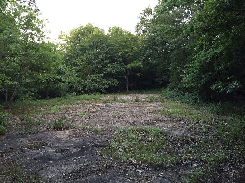 Open area near Old Wagon Road and Discovery Trail