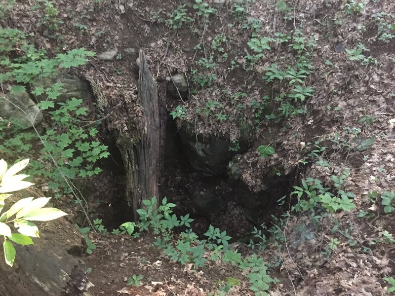 Vertical Shaft Cave just off of Warpath ridge Trail