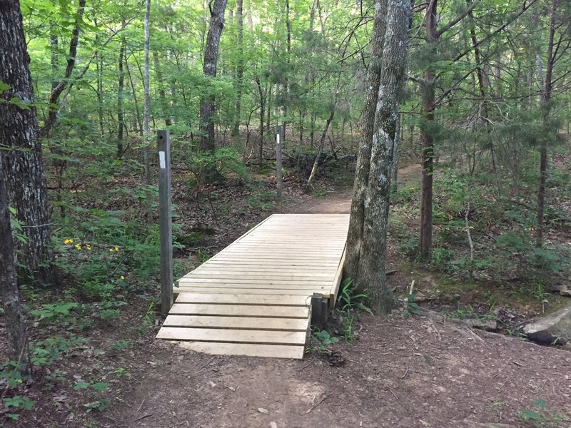 South Plateau loop is well maintained with bridges like this over some small streams.