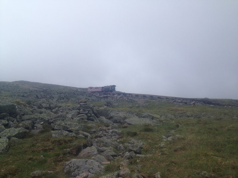 View from Gulfside Trail looking south towards Cog Railway.