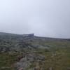 View from Gulfside Trail looking south towards Cog Railway.