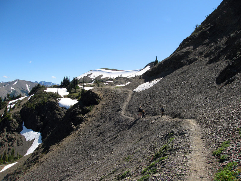 Almost back to Obstruction Point trailhead. (photo by pfly)