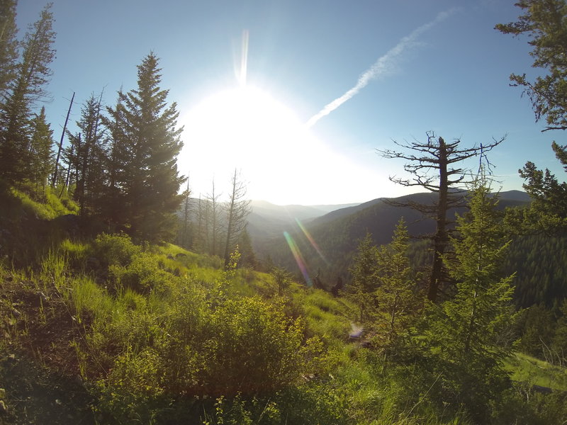 Early morning on the side of Mt. Leona