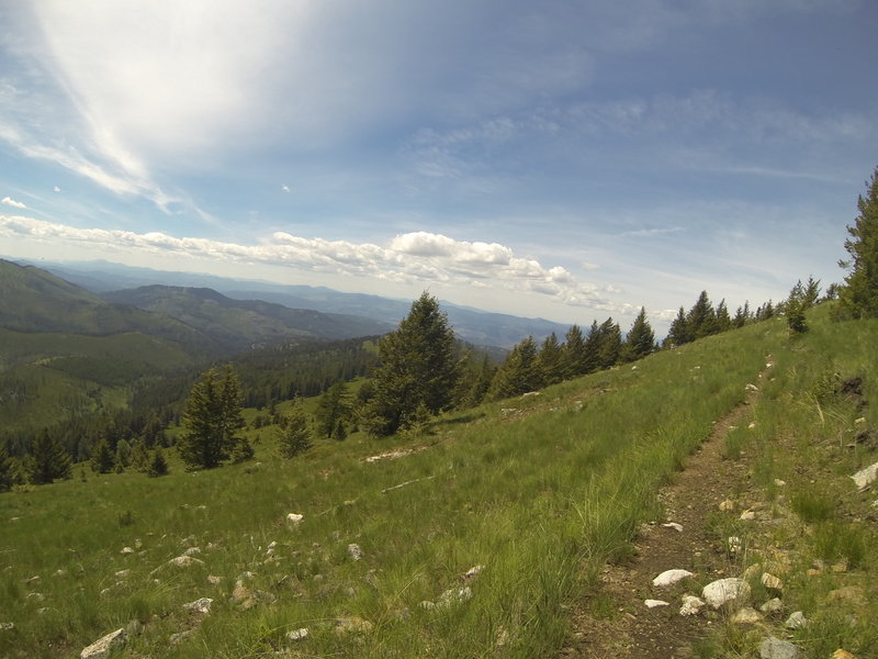 Looking NW towards the North Cascades from the side of Midnight Mountain