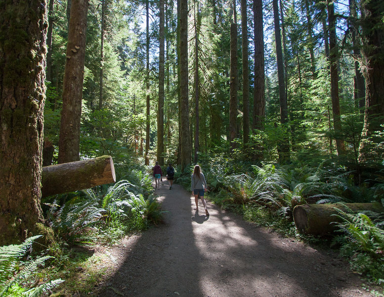 Enjoying the Marymere Falls Trail (photo by Ralph Arvesen)