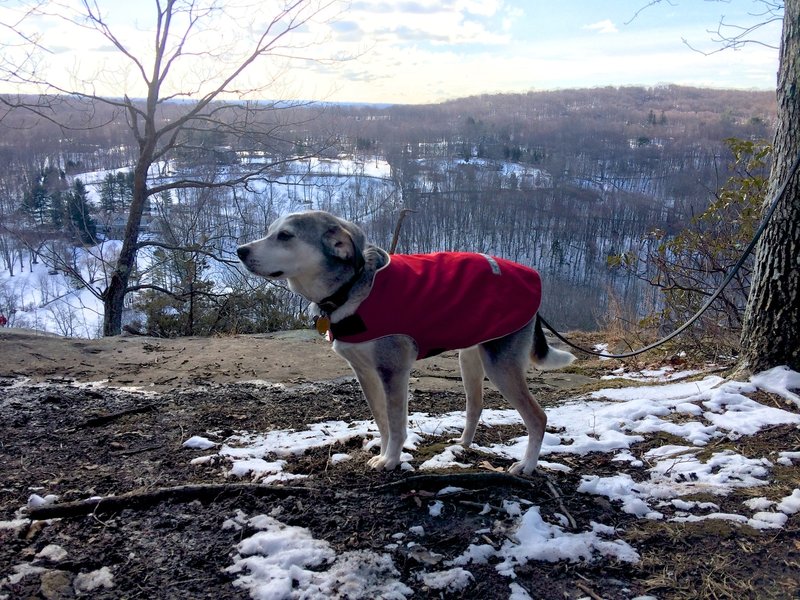 At Raven Rocks overlook in winter.