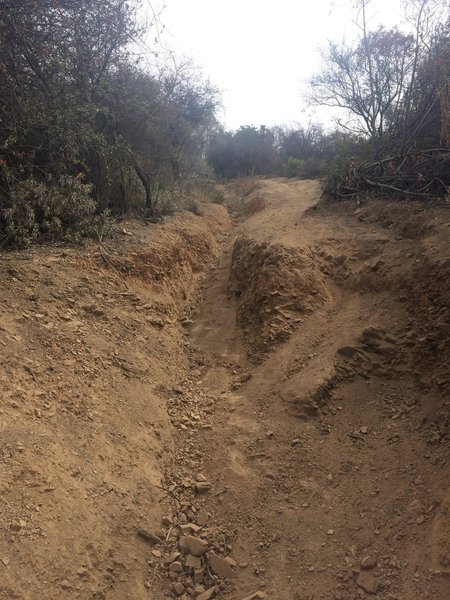 Final climb down from Mandeville Fire Rd.  You might have to use your hands.