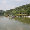 Paddle Boats at Lake Needwood