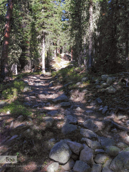 This is a pretty rocky trail...