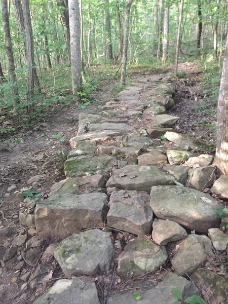 One of a few stone sections on the Goat Trial